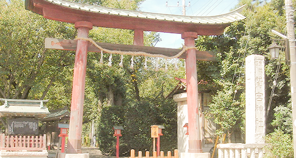 お参りセットコースでは、実際にお参りに行くお子様を記念にお写真に収めることができる